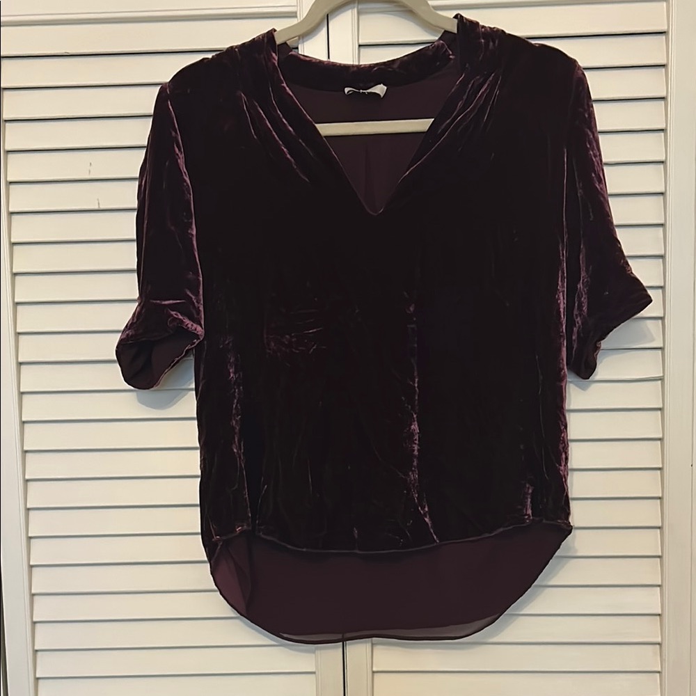 JOIE crushed velvet plum top